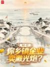村长,你乡镇企业卖激光炮?